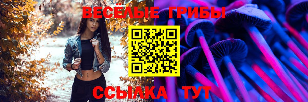 Псилоцибиновые грибы Psilocybe Подольск